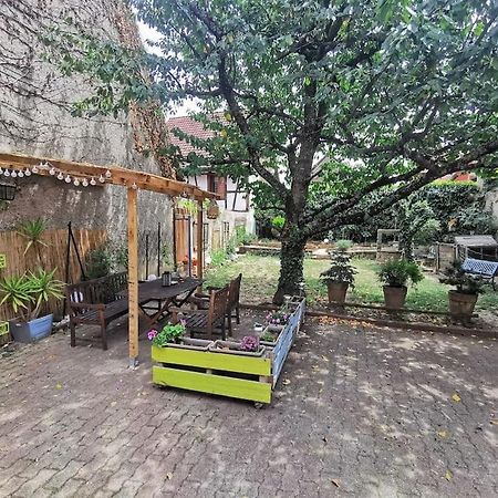Gite Aux Sources D'Alsace Soultzmatt Zewnętrze zdjęcie